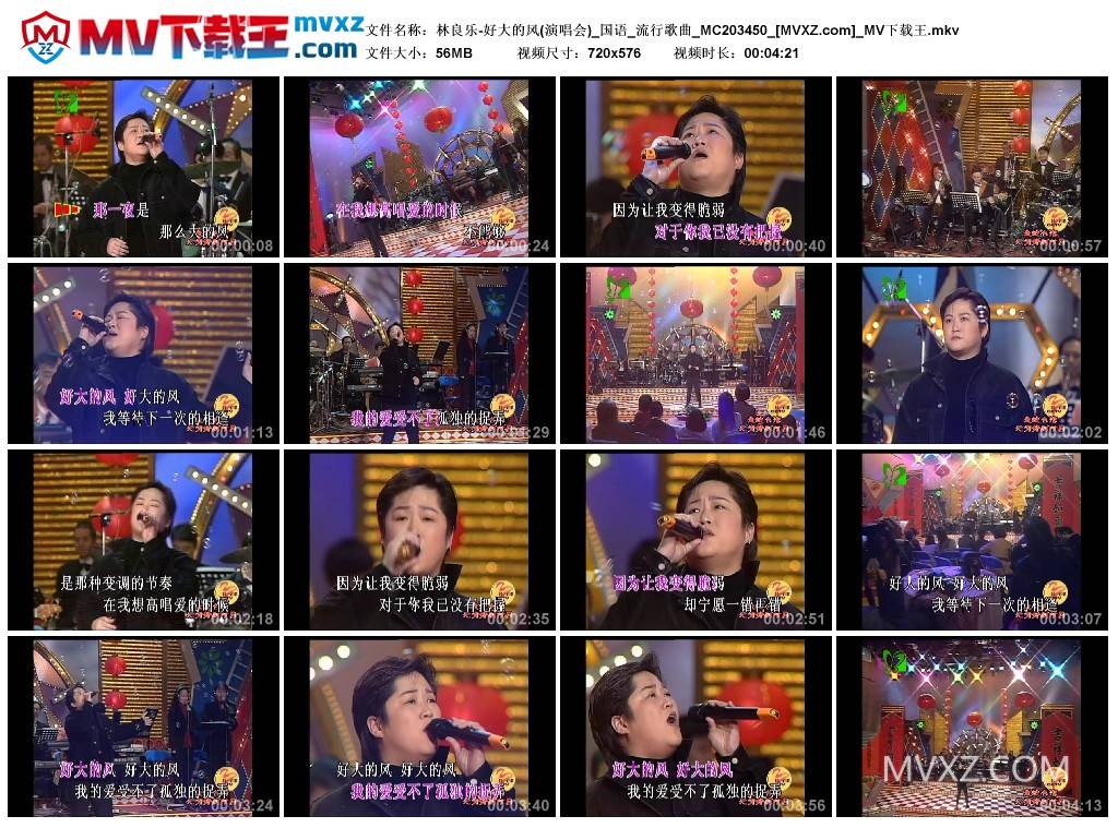 林良乐-好大的风(演唱会)_国语_流行歌曲_MC203450